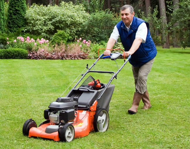 servicio de jardineria